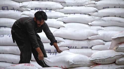 Rally in local sugar prices could put brakes on exports