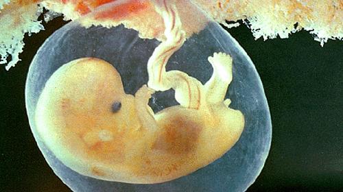 Britain gives scientists go-ahead to genetically modify human embryos
