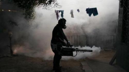 Three ways to combat Zika