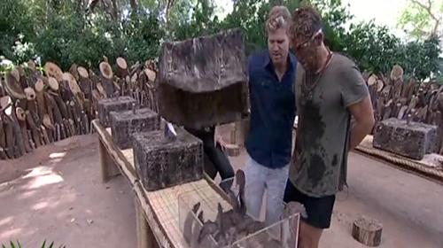 Shane Warne survives anaconda bite on reality TV show