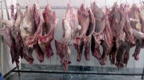 2,000kg meat of 'dead animals' seized from Islamabad slaughterhouse