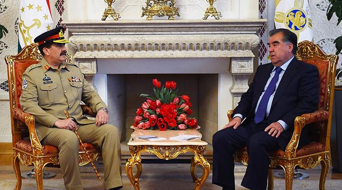 Gen Raheel discusses Afghan peace, terror fight with Tajik president