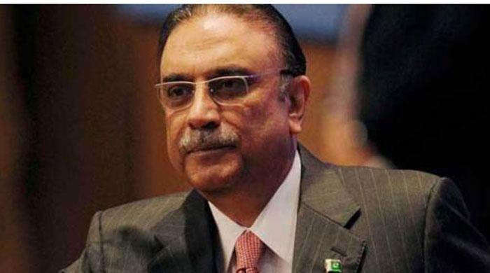 NAB action in Punjab won't please me: Zardari