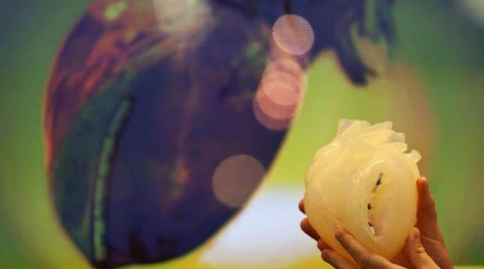 Rotating night shifts tied to heart disease risk