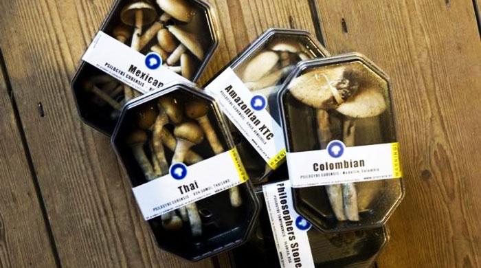 Magic mushroom ingredient may ease severe depression, study suggests
