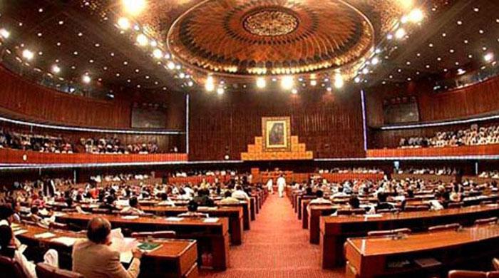 NA unanimously adopts 22nd Amendment Bill