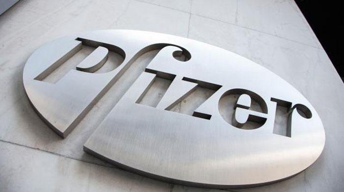 UN's rights chief urges firms to follow Pfizer's step on death penalty