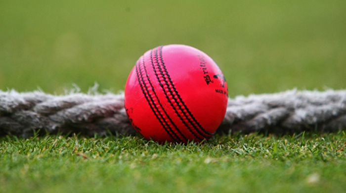 Australia captain Smith wary of pink ball Test at Gabba