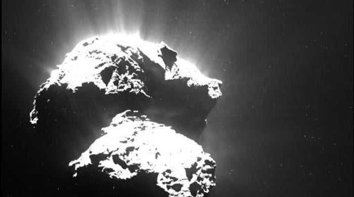 Rosetta spacecraft finds key building blocks for life in a comet