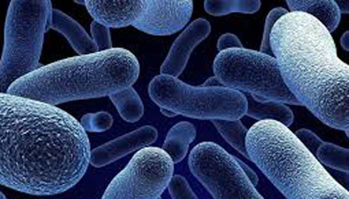 Super Bug Antibiotic resistant superbug finds its way into the US