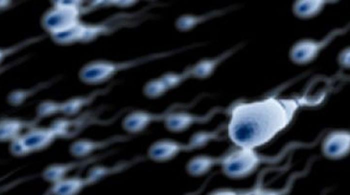 French court rules woman can use dead husband´s sperm
