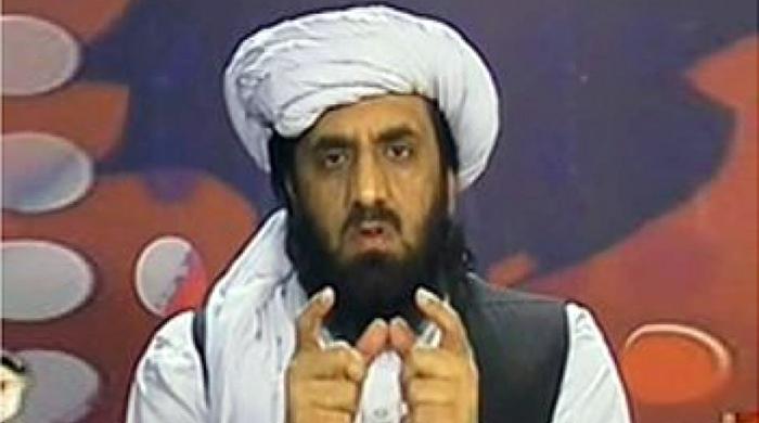 Interior ministry is in love with Ayyan Ali: Hafiz Hamdullah