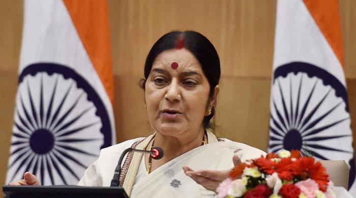 China not opposing India's NSG bid: India foreign minister