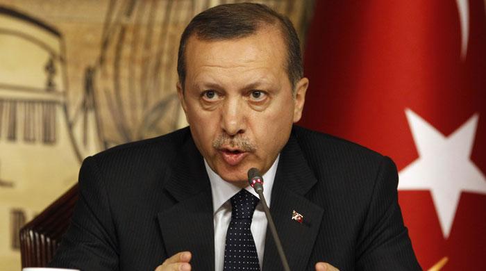Erdogan defends plan offering Syrians Turkish citizenship
