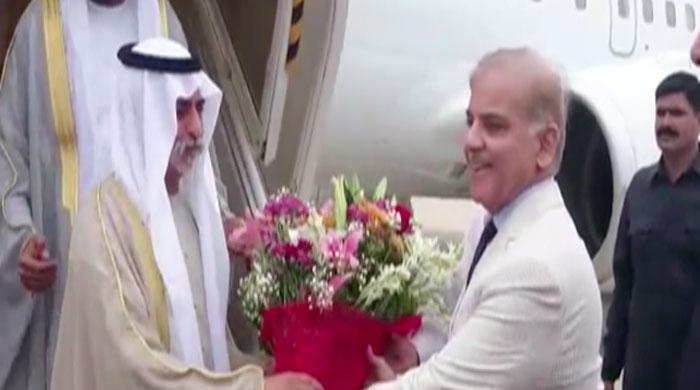 Shahbaz Sharif receives UAE minister in Lahore