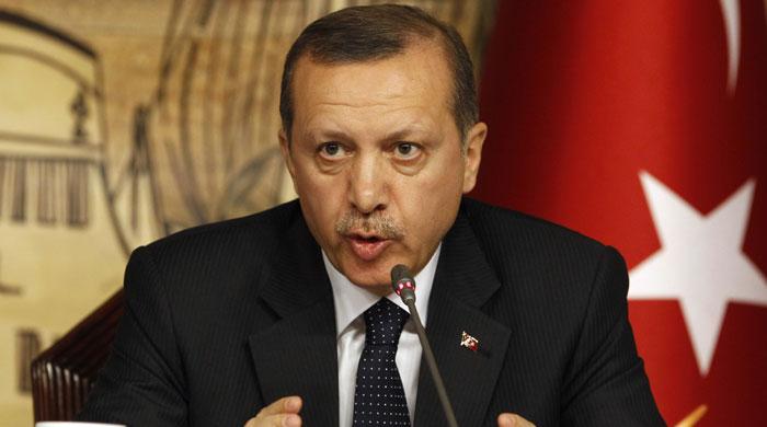 Profile: Erdogan- Turkey's controversial Sultan
