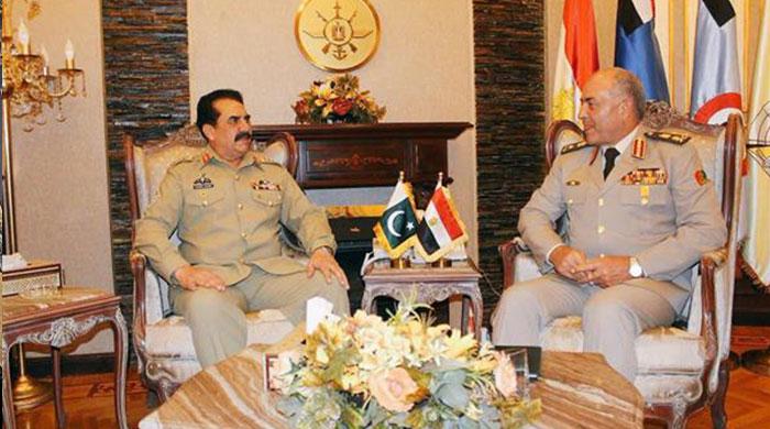 Pakistan, Egypt to synergise all efforts to fight terrorism