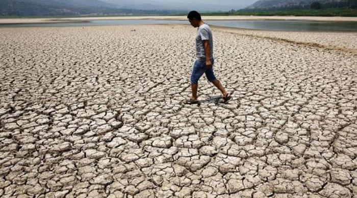 Global heat, sea level hit record highs in 2015