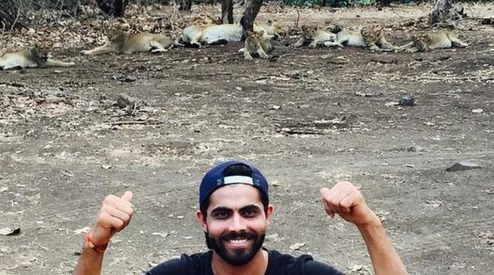 Indian cricketer Ravindra Jadeja fined for taking selfies with endangered lions