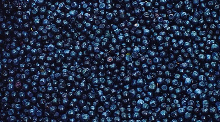 Finland puts idle migrants to pick berries