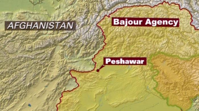 Bomb blast in Bajaur kills one security official