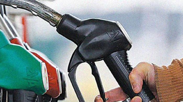 Petroleum prices to stay unchanged: Ishaq Dar