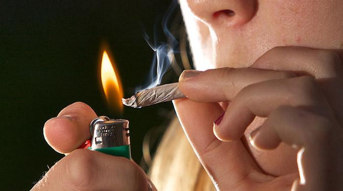 More Americans getting high: cannabis study