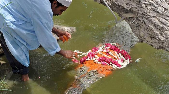 Virtual tour: Manghopir—the crocodile shrine