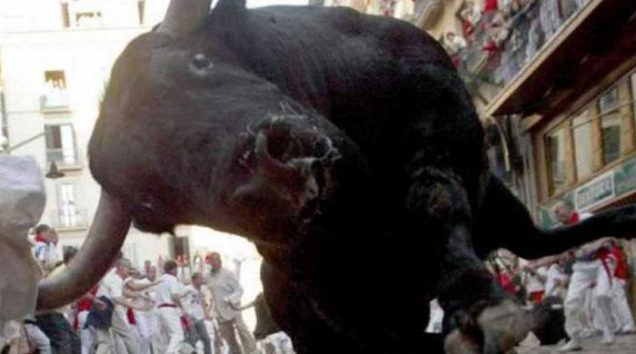 Angry bull injures four in Karachi