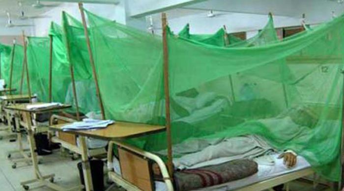 1,158 dengue patients being treated in Sindh