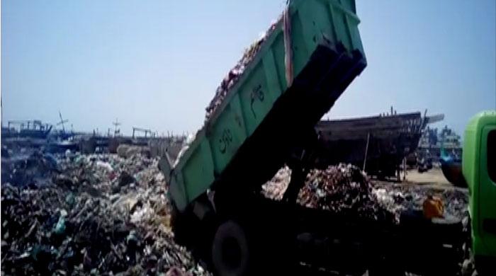 KMC trucks dump animal offal into Karachi sea