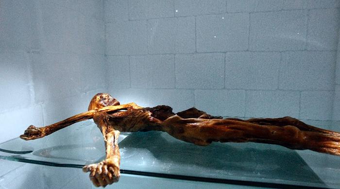 Stone Age mummy still revealing secrets, 25 years on