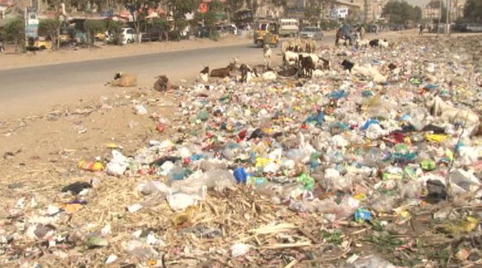 Two years on, Sindh Solid Waste Management Board fails to deliver on its promises