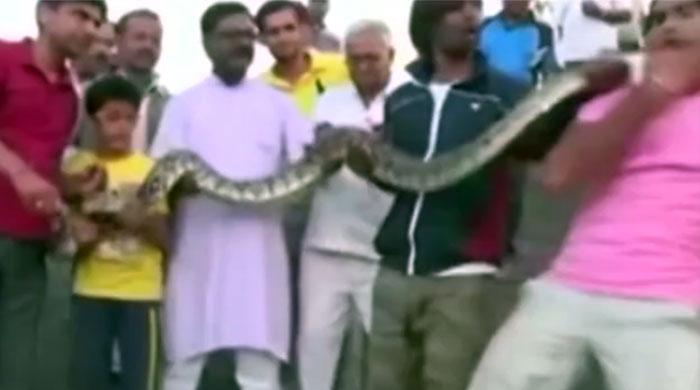 Indian man bitten by python whilst posing for selfie