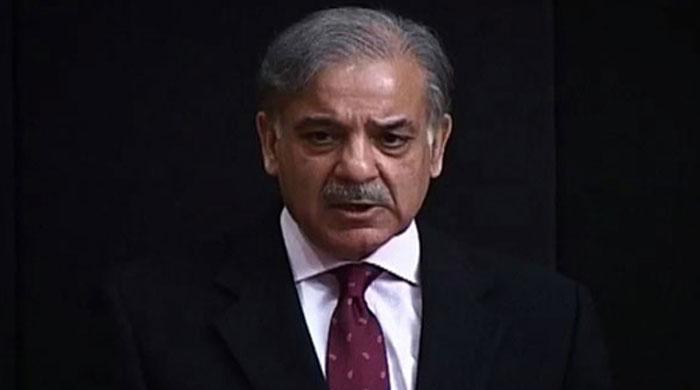 Unprovoked LOC firing shows India is desperate, mortified: Shehbaz Sharif