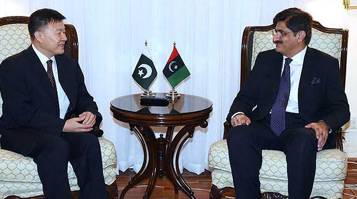 Sindh offers enormous opportunities for Chinese investors: CM Murad