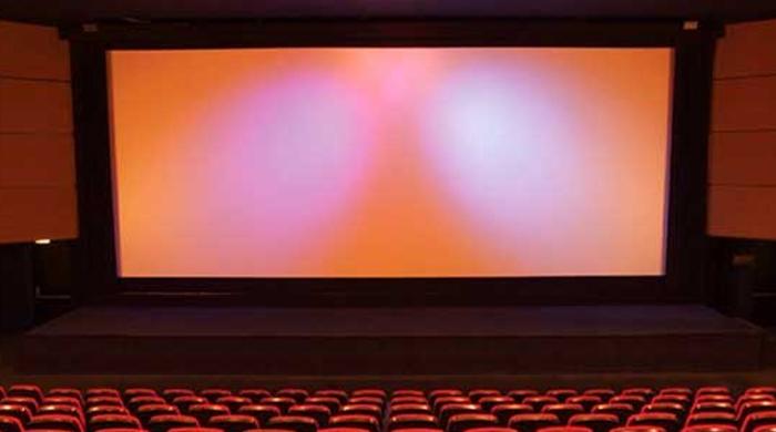 Pakistani cinemas stop screening Indian films