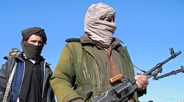 Daesh militants kill 30 in central Afghanistan: official