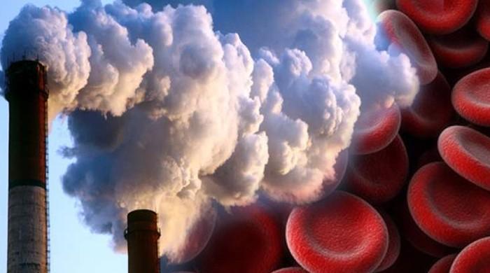 Pollution particles damage blood vessels, may lead to heart disease