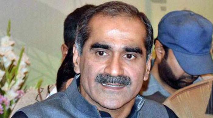 No one above law in Pakistan: Saad Rafique