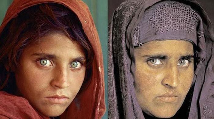 Court rejects bail plea of Nat Geo's 'Afghan Girl' Sharbat Gula