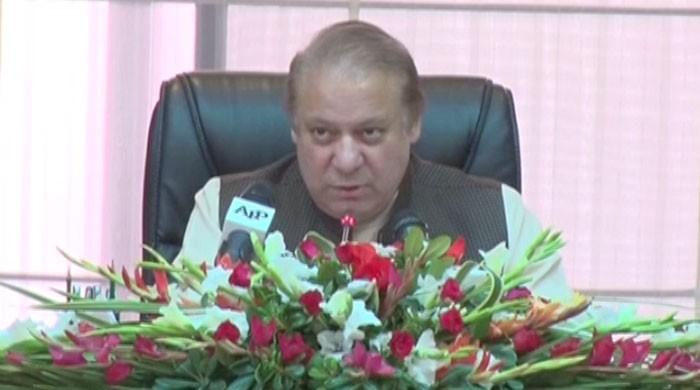 SC Panama Leaks decision will be according to law, constitution: PM