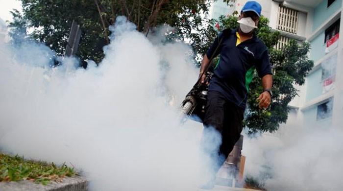 Asia outbreaks prompt question: Is all Zika dangerous?