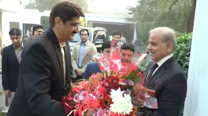 Shah calls on Sharif in Lahore