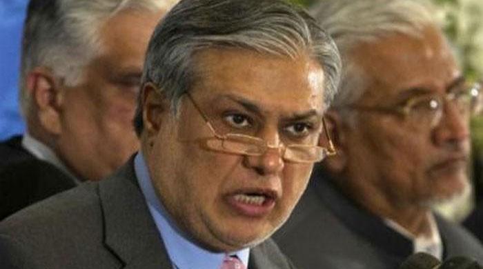 Govt won't allow illegal money changers to play with country's destiny, warns Dar