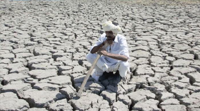 Early drought warning helps Pakistan farmers prepare for dry season