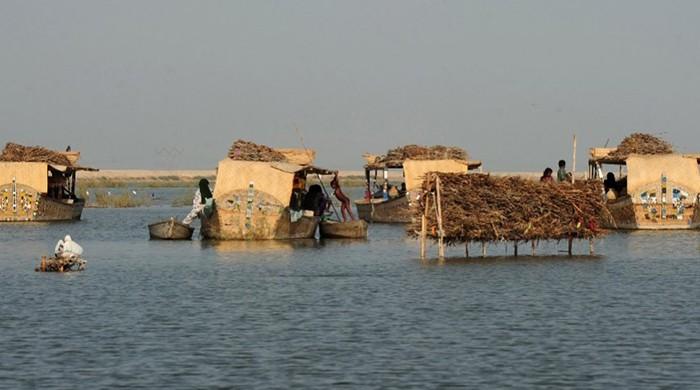Paradise lost: How toxic water destroyed Pakistan's Manchar Lake