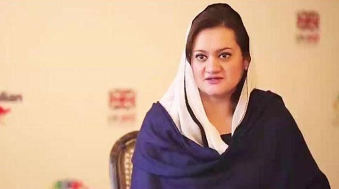 Bhutto family’s name mentioned in Panama Papers, not PM’s: Marriyum
