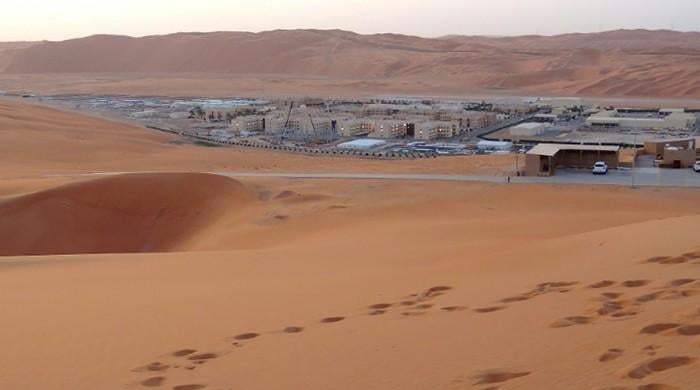 Saudi daily retracts Aramco sale claim