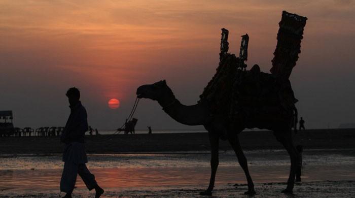 Karachi beach reopened for citizens on New Year's eve Karachi beach reopened for citizens on New Year's eve